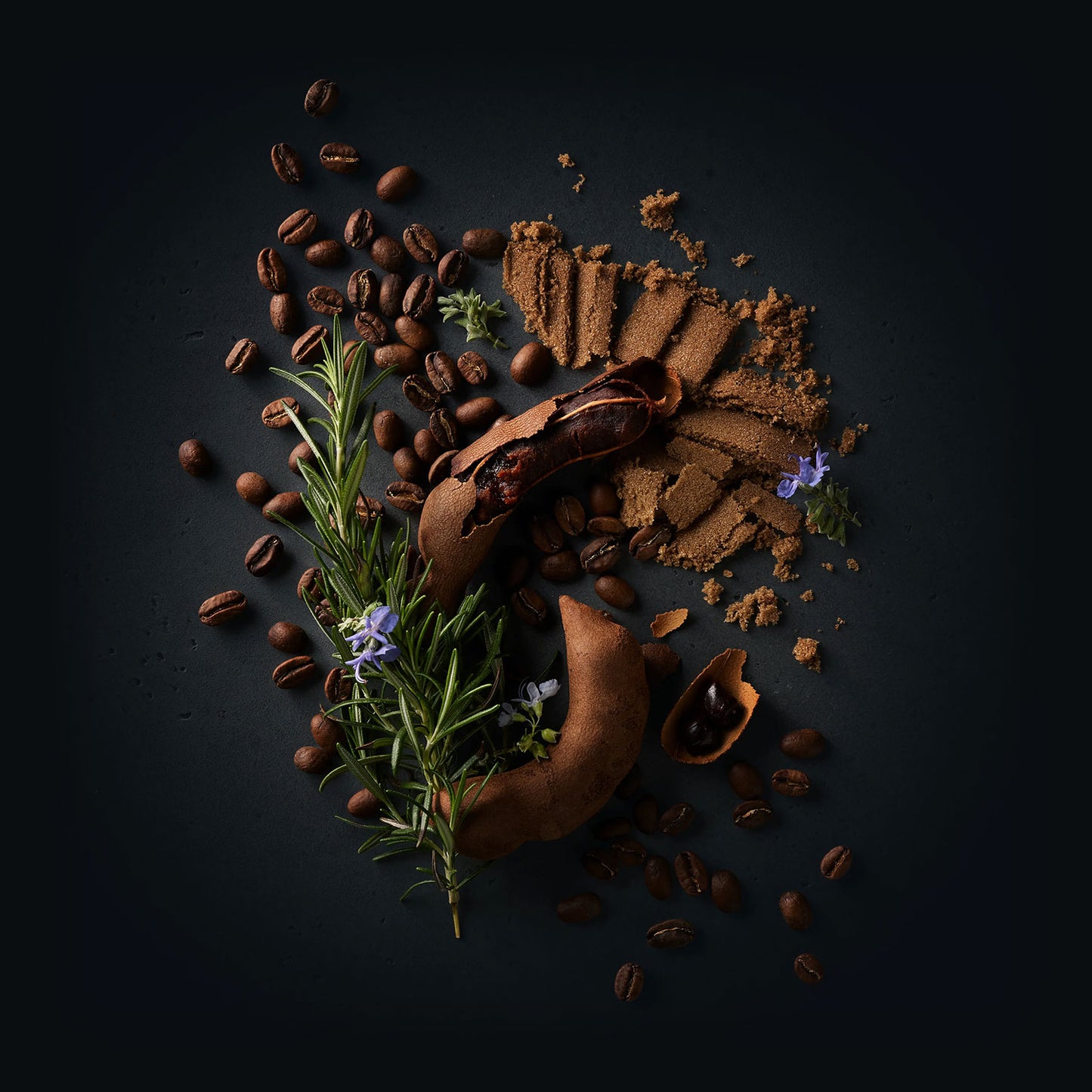 Sillvia Coffee by Ninety Plus Coffee. A spread of roasted coffee beans with food items that represent that flavor notes of brown sugar, tamarind, and rosemary.
