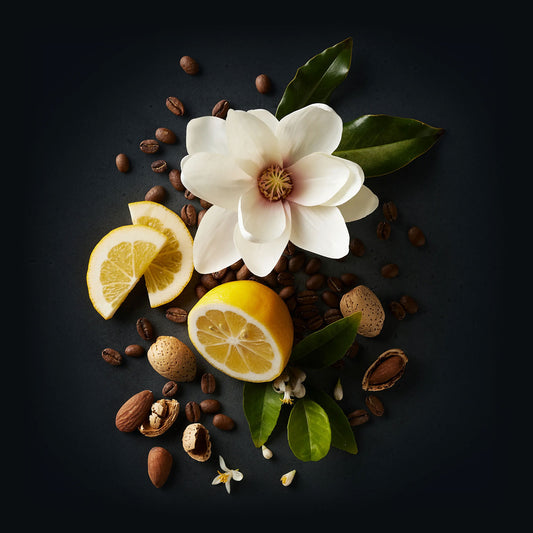 Lycello Coffee by Ninety Plus Coffee.  A spread of roasted coffee beans with food items that represent that flavor notes of magnolia, meyer lemon, and almond. 
