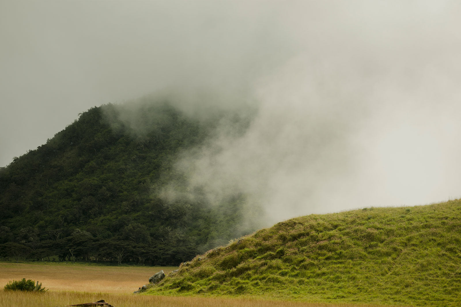Low hanging clouds and fog hang over a lush green mountain in Panama